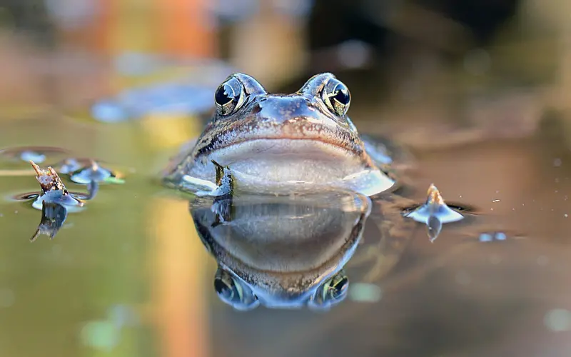 当他说“我累了”，可能是危险讯号，你听懂背后的画外音了吗？