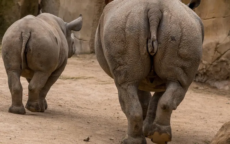 遇见你，将不再孤单。