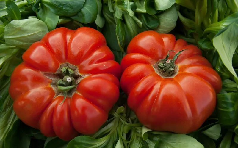 和男朋友吵架他总是不管不问该怎么调整