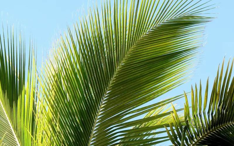 情到深处，夫妻一定会亲吻对方这三个地方