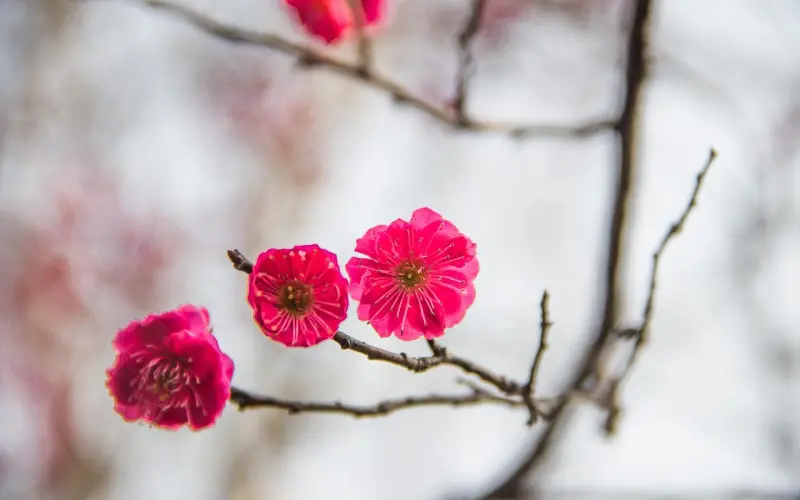 异性之间交往，哪怕关系再好，这三个禁区不要碰！