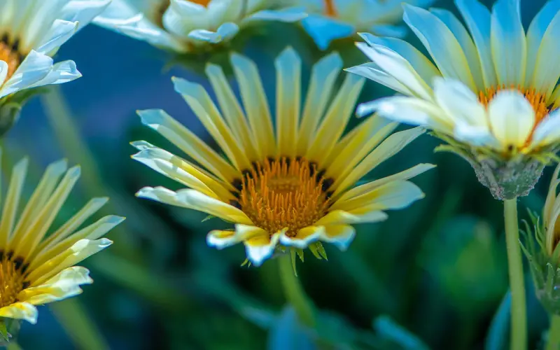 异性之间交往，这4种表现越强烈，关系越有问题！