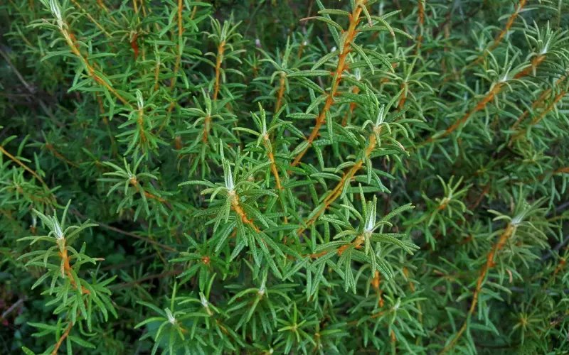 谈挽回，你可以坚持，也可以放弃，但都是你自己的