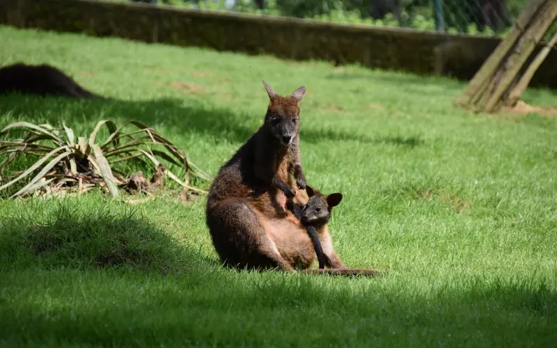 泡她的时候，别忘提升吻她的kiss技巧