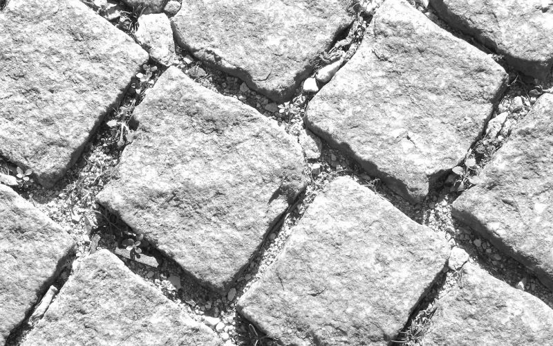 人一简单就快乐，一世故就变老