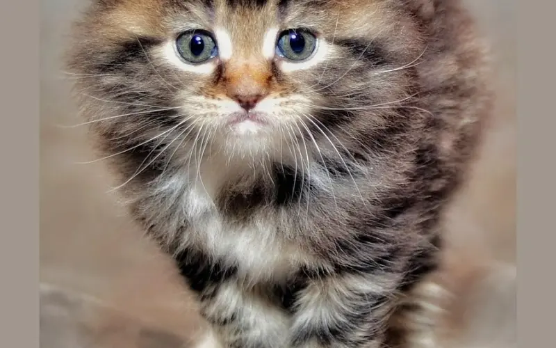 两性相处中，怎样做到“好脾气”又不失个性？