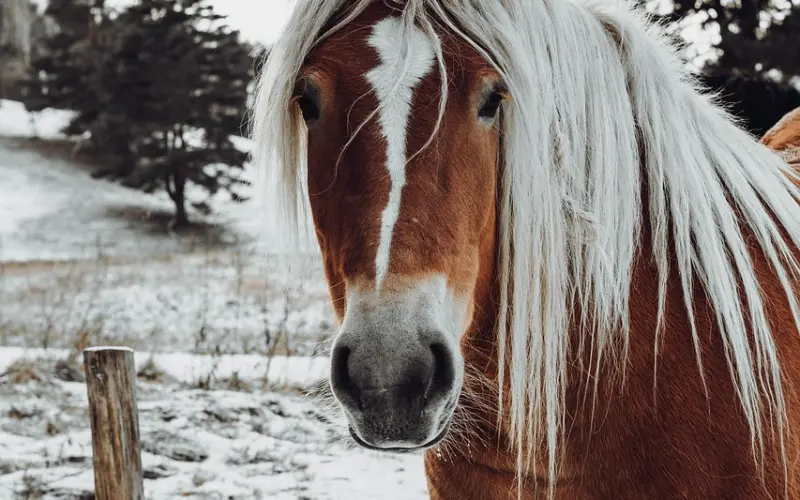 女人因为男人的追求被感动在一起，会埋下什么隐患？
