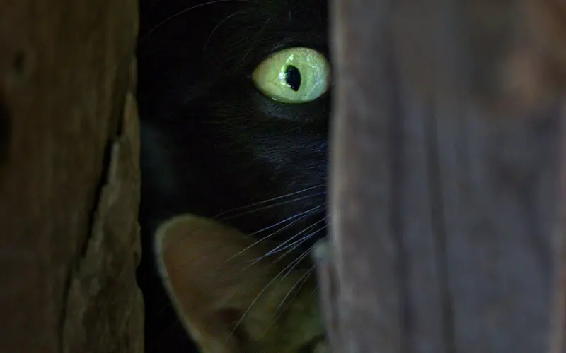 当失恋的时候，没必要被朋友的话给伤了心