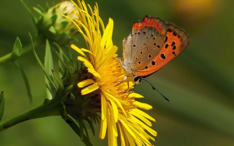 发现男人偷腥有外遇时，闹到小三家里会有用吗？妻子能得到胜利吗？ ...
