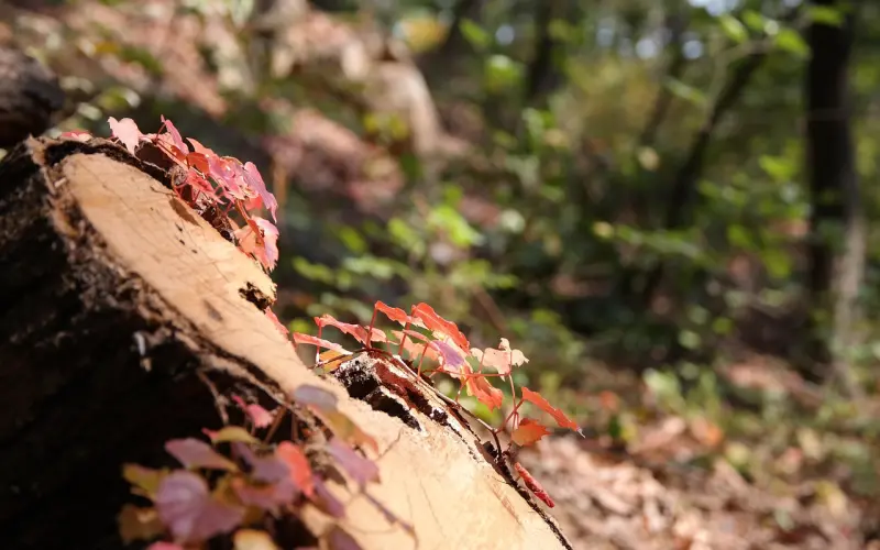 这样谈恋爱，根本不需要挽回！