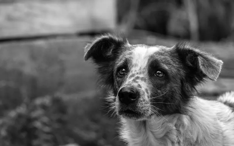 男朋友和你吵架的时候，会强吻你吗？