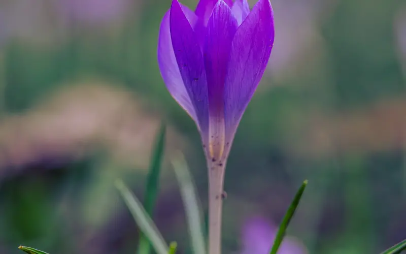 恋爱时不要总是说你累了，小心分手悄悄接近你