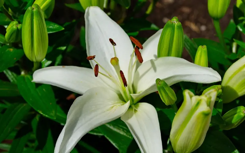 男生有没有说谎，看这3点就知道！