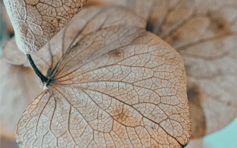 男人对你好不好, 就看他对你的底线，女人要多学学