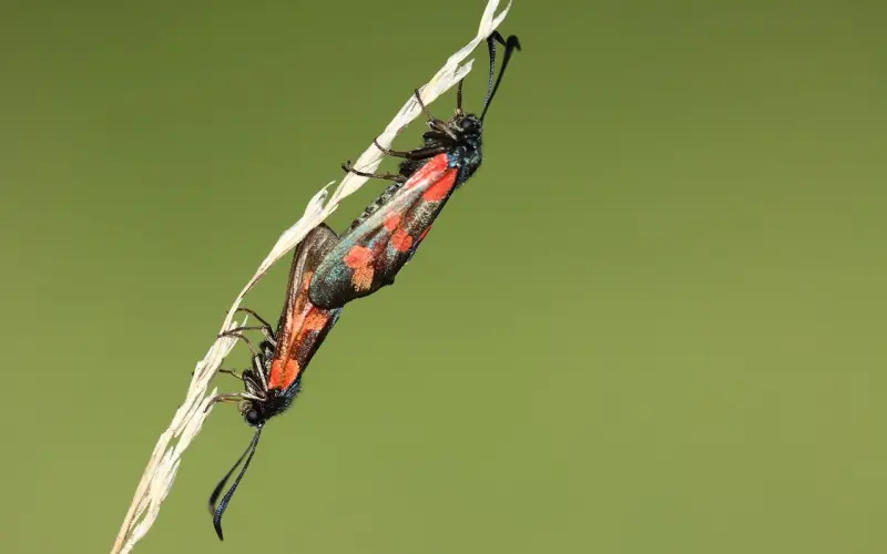 一个人爱不爱你，就看这6点！