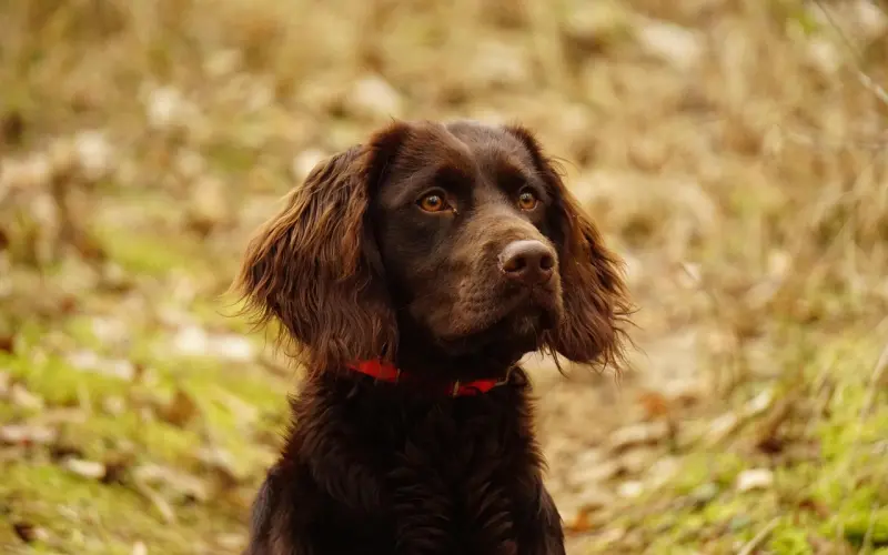 女人“正不正经”，她的身体语言最诚实，瞒不了人