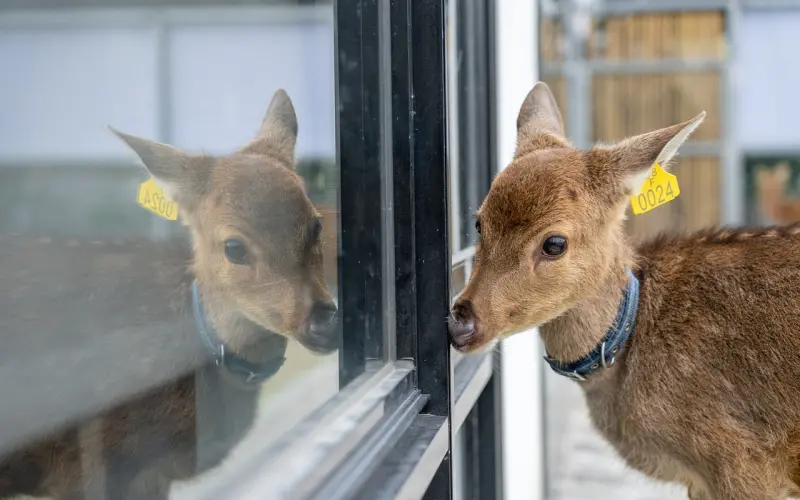 女人是真心爱你还是耍你，从微信上的聊天可以一目了然