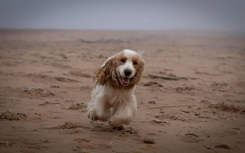 生活幸福与否，其实是一种内心的感受；同样婚姻感情夫妻关系幸福与否也是一种感受感觉！
