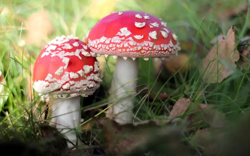 对方是否值得你挽回，看这几点