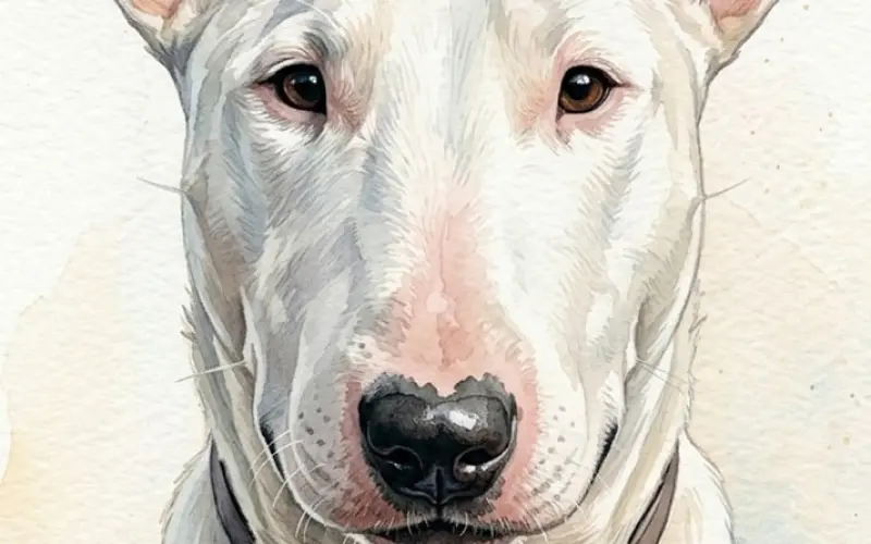 你用什么手机，就是什么人品！进来对照！