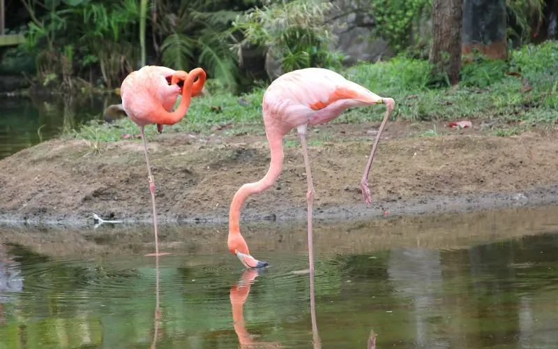 “性”和“爱”哪个更重要？