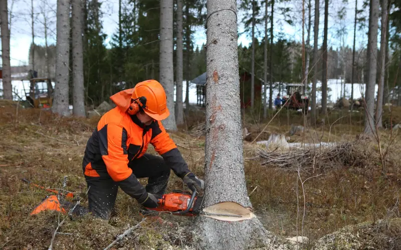 异性给你的六个爱情暗示，哪个你最动心。