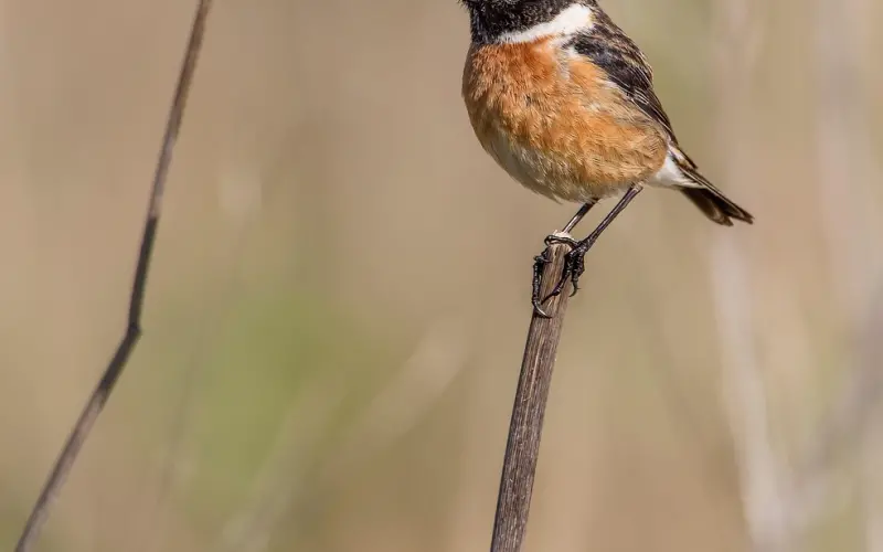 你的哪些行为，会瞬间让你喜欢的男人感到失望！