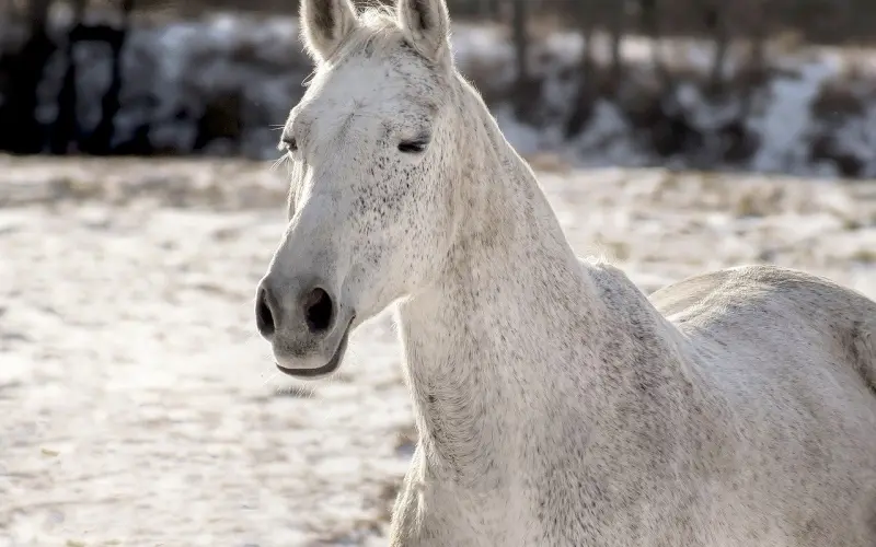 哪种性格最容易让你错失良缘？