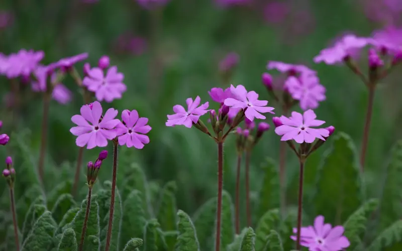 男人哪句话最能暴露他的人品？