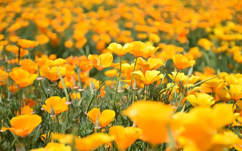 谁不是一边受伤，一边成长; 谁不是一面流泪，一面坚强!