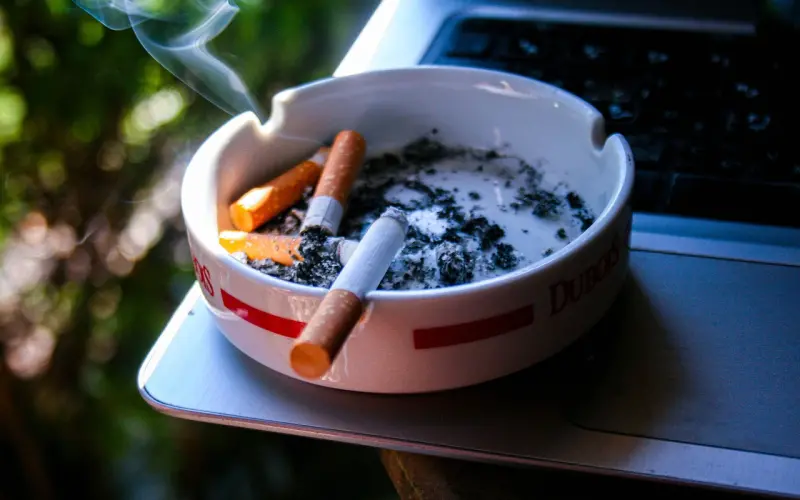 谁道相亲难？万物皆可盘！