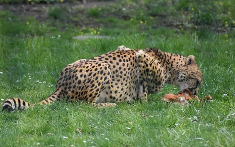 遇见和爱上谁，都已命中注定，无需挣扎！所以啊，遇见谁发生什么都是缘！