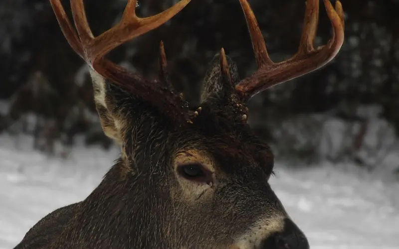 为什么结婚10年，丈夫从没碰过她，婆婆让她找男小三...