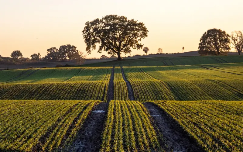 为什么你只能看着别人秀恩爱，谁让你还是单身呢