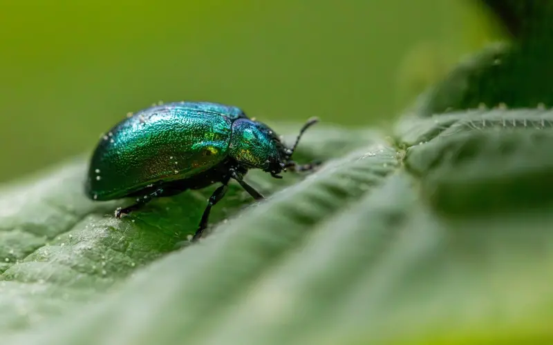 为什么你学了那么多恋爱知识，还是追不到女生？