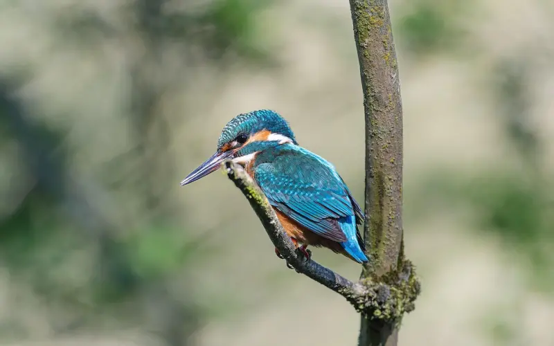 为什么你不会聊天？因为你不懂这个道理。