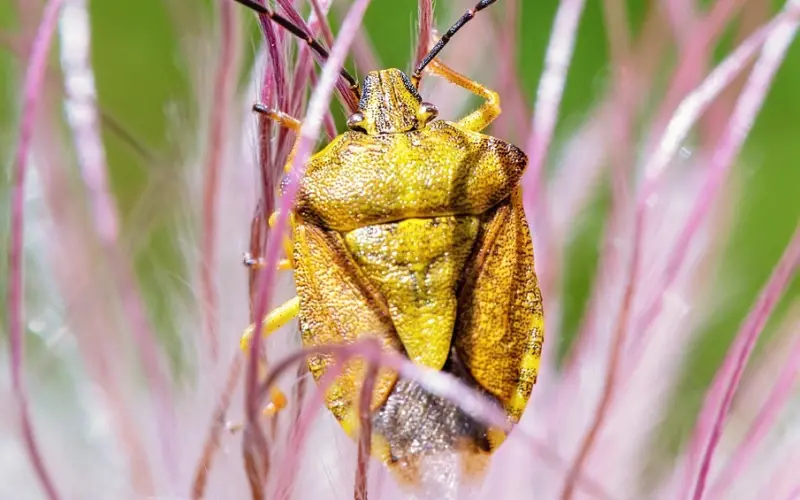 为什么他对你屏蔽了朋友圈？