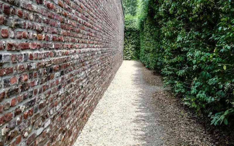 为什么他撩完你后就消失了？