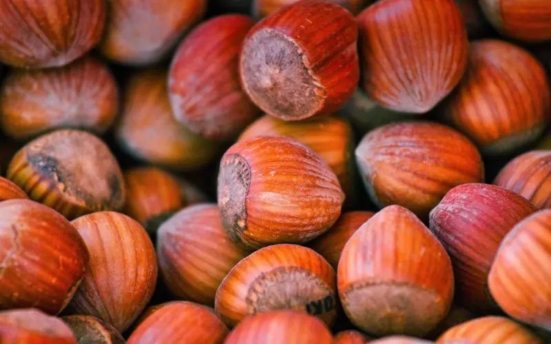 为什么两个人苦尽甘来后反倒分手了？