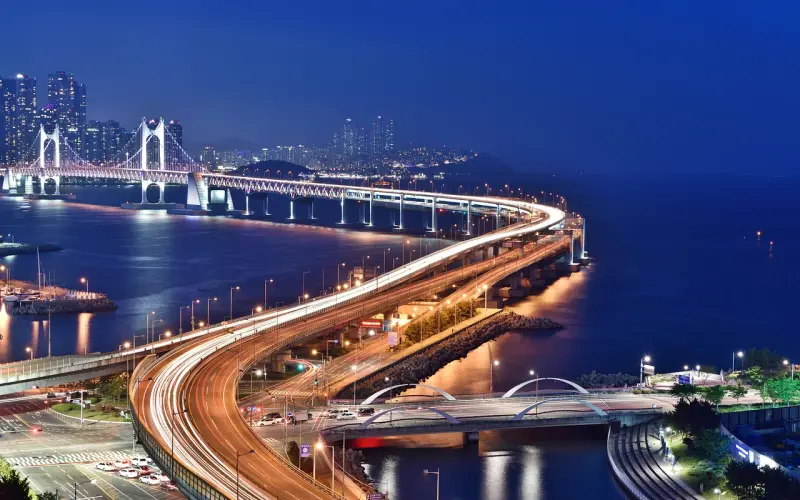 你们是因为什么走失在人海？