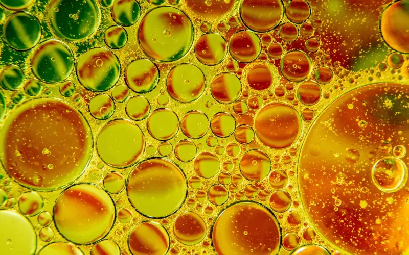 男生会因为哪些原因而爱上一个女生