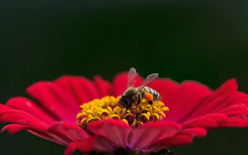 为什么我说“百依百顺”非好汉？