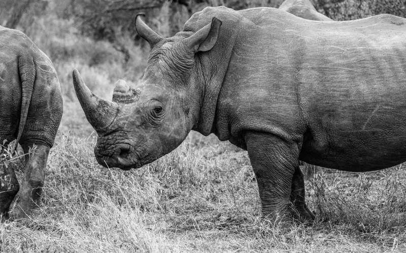 为什么爱到最后，男人总说累？