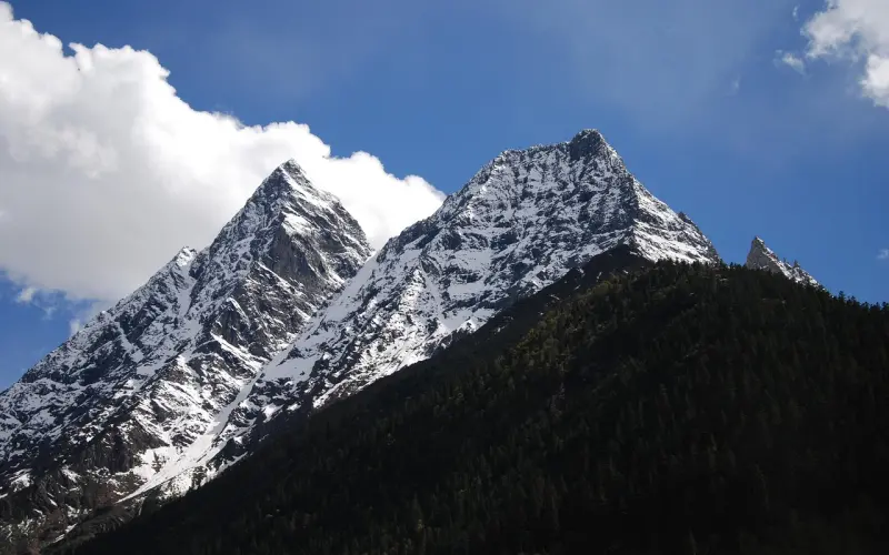 为什么越来越多的姑娘宁愿单身，也不愿降低要求去嫁人了？