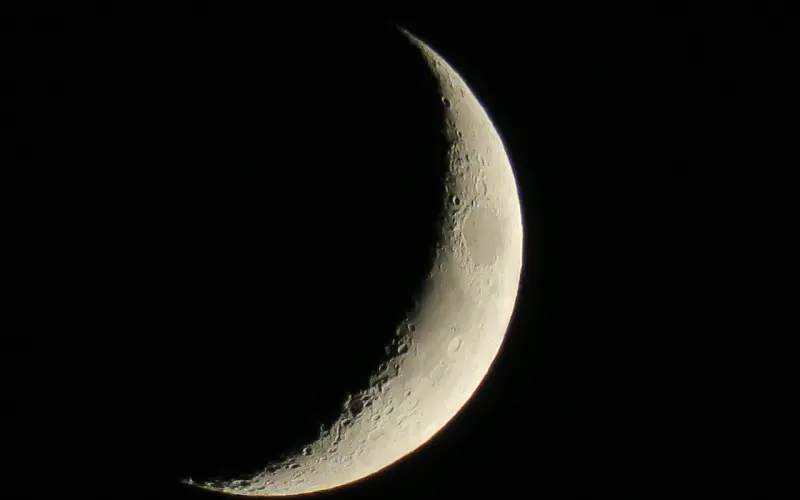 为什么越来越多人认为单身真好？