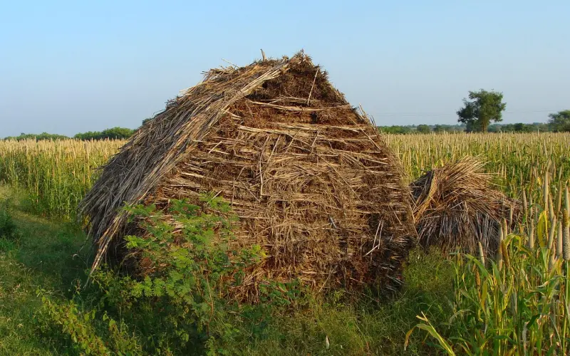 为什么有些女孩总是遇见渣男？