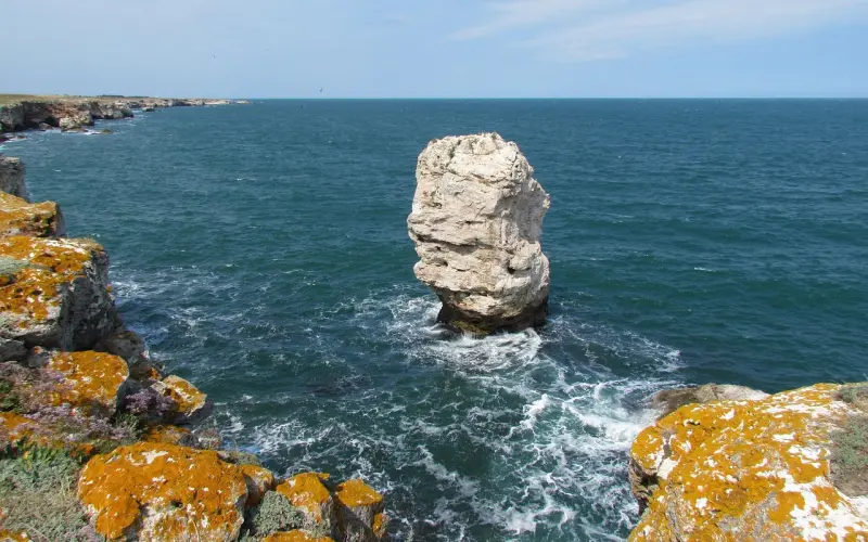 为什么有些女生喜欢独来独往？是真的高冷吗？