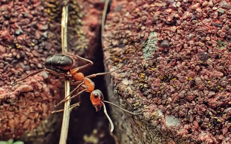 那些很努力的女生，为什么一直单身？