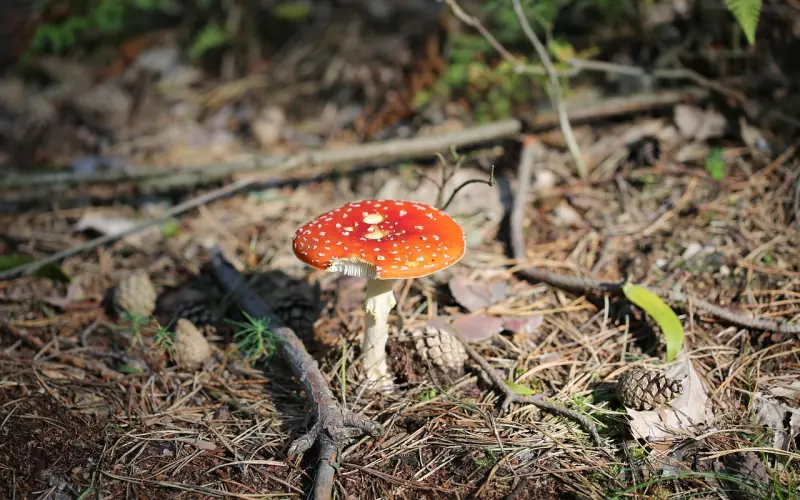 我们为什么要发朋友圈？说得真好！