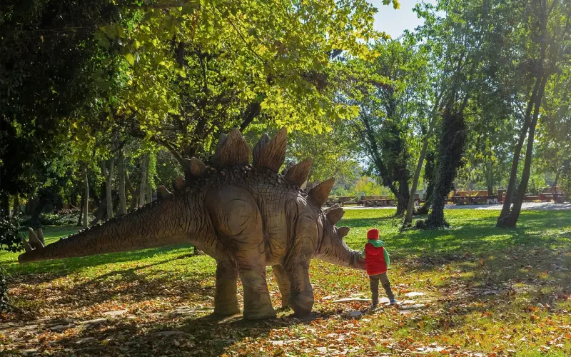 为什么道理都懂，可就是做不到？